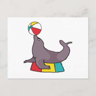 Dressurrobbe Postkarte