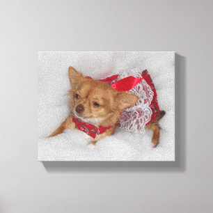 dressy Chihuahua printprint Leinwanddruck