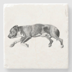 Drift in Calm - Detaillierte Dog-Nummer Steinuntersetzer