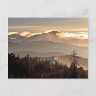 Drifting Snow - James Peak, Colorado Postkarte
