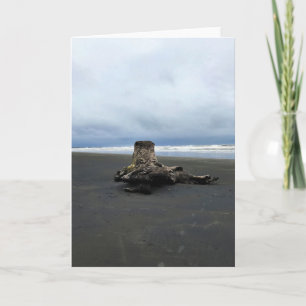 Driftwood am Strand von Benson, Cape Enttäuschung, Karte