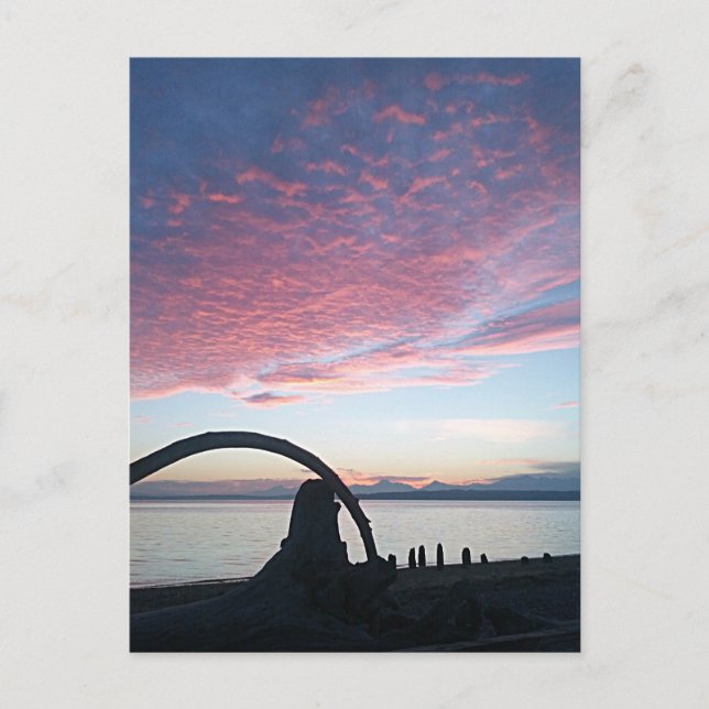 Driftwood Arch Sunset Postkarte (Vorderseite)