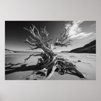 Driftwood-Baumstamm B&W-Foto Poster
