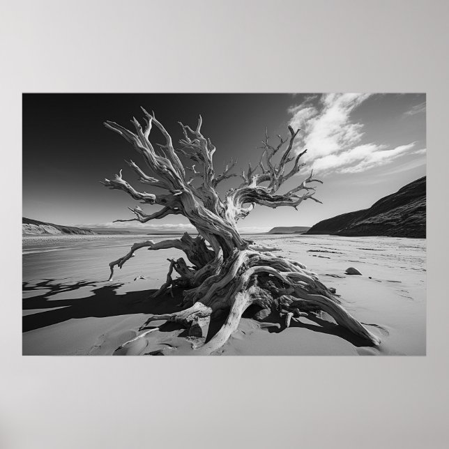 Driftwood-Baumstamm B&W-Foto Poster (Vorne)