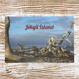 Driftwood Beach auf Jekyll Island Doormat Fußmatte