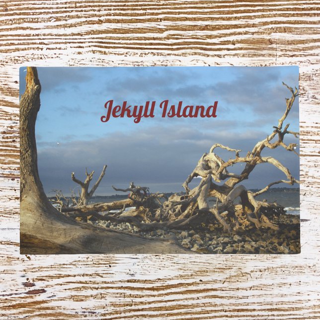 Driftwood Beach auf Jekyll Island Doormat Fußmatte (Von Creator hochgeladen)