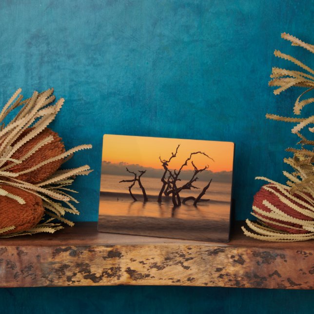 Driftwood Beach auf Sunrise Jekyll Island Georgia Fotoplatte (Seite)