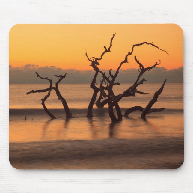 Driftwood Beach auf Sunrise Jekyll Island Georgia Mousepad (Vorne)