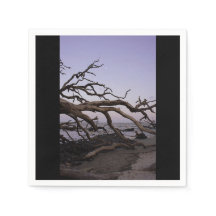 Driftwood Beach Paper Napkin