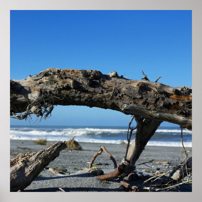 Driftwood Coast Beach Nature Foto Poster (Vorne)