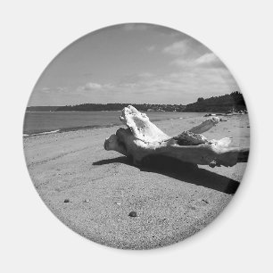 Driftwood Discovery Park Magnet