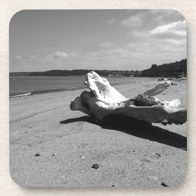 Driftwood Discovery Park Untersetzer (Vorderseite)