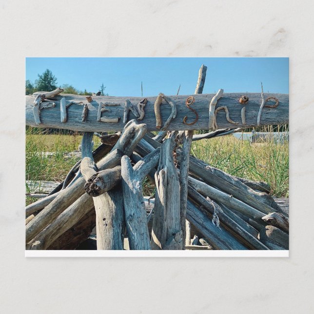Driftwood Friendship Postkarte (Vorderseite)