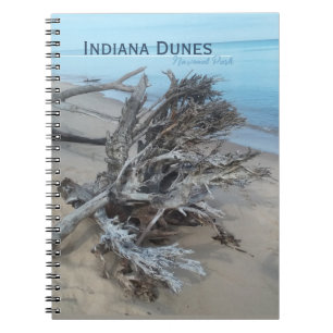 Driftwood Indiana Dunes National Park Magnet Post Notizblock