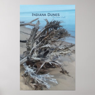 Driftwood Indiana Dunes National Park Magnet Post Poster