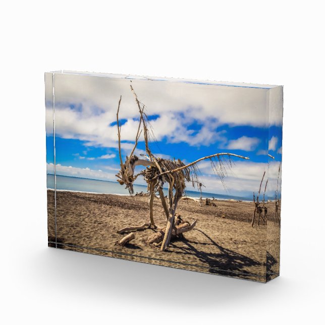 Driftwood-Kunstwerk am Hokitika Beach, Neuseeland Fotoblock (Rechts)