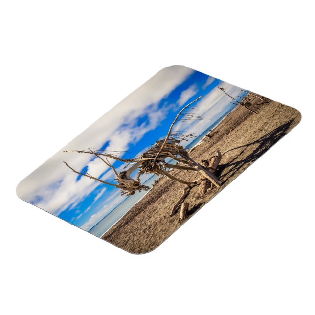 Driftwood-Kunstwerk am Hokitika Beach, Neuseeland Magnet (Linke Seite)