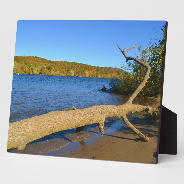 Driftwood Plaque Fotoplatte (Seite)