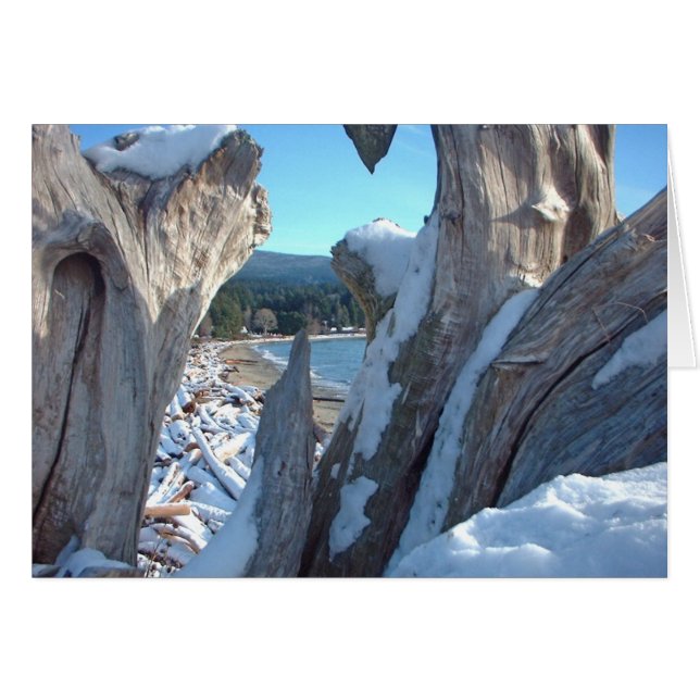 Driftwood Snow Glistens (Vorderseite (Horizontal))