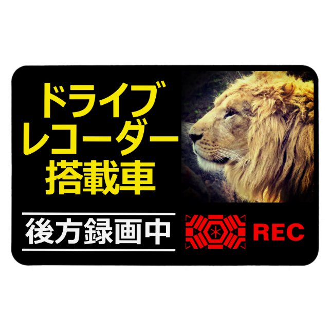 DRIVE RECORDER Warnschild (LION) Magnet (Horizontal)