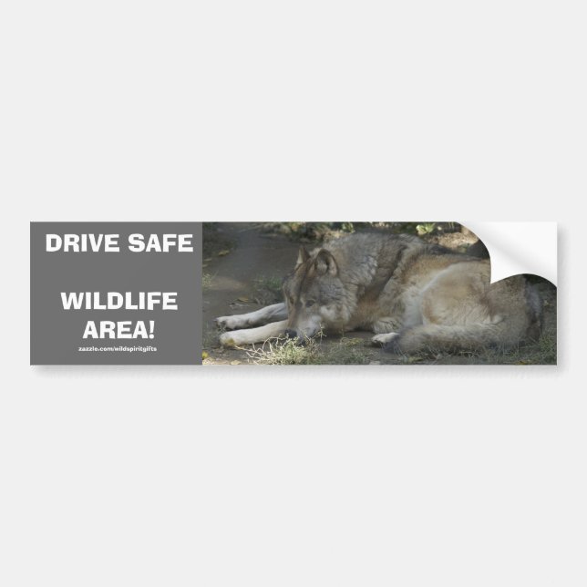 DRIVE SAFE WILDLIFE GRAY WOLF Autoaufkleber (Vorne)