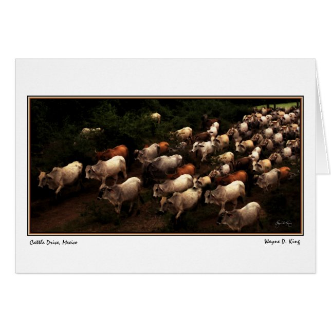 Drive Zuhause, Mexiko (Vorderseite (Horizontal))