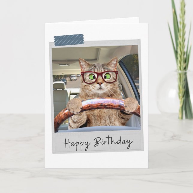 Driving Cat Funny Birthday Card Karte (Vorderseite)