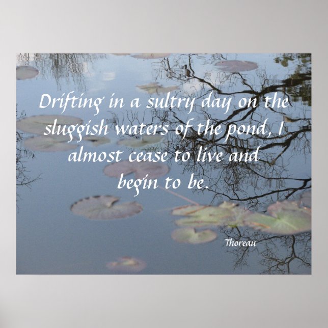 Driving on the Pond Poster (Vorne)