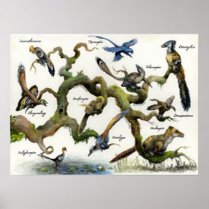 Dromaeosaurier-Stammbaum-Druck Poster