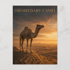 Dromedar-Kamel-Wüsten-Dünen TIERE Postkarte