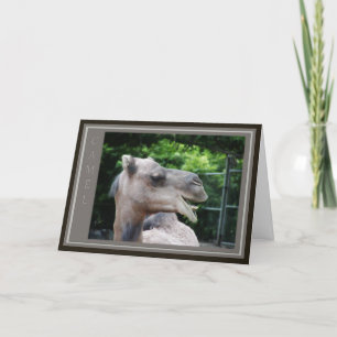Dromedar-Wildlife Karte