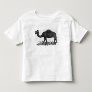 Dromedary, von 'Historial Animalium Kleinkind T-shirt
