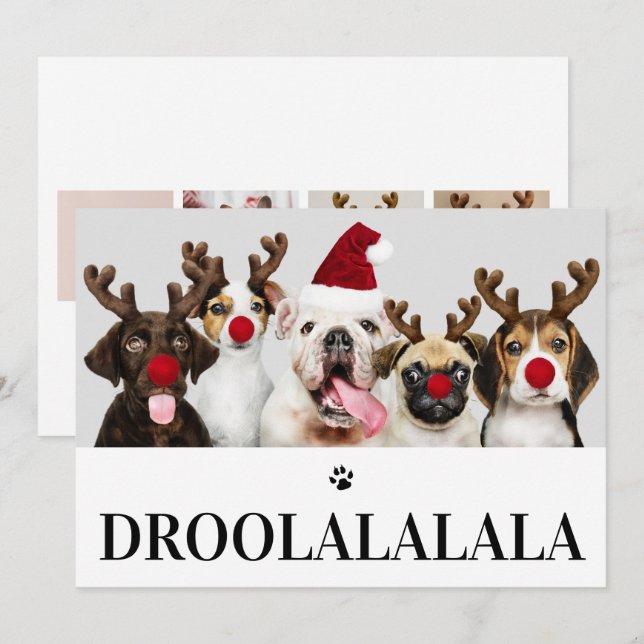 Droolalala Hund Weihnachten 5 Foto-Karte Einladung (Vorne/Hinten)