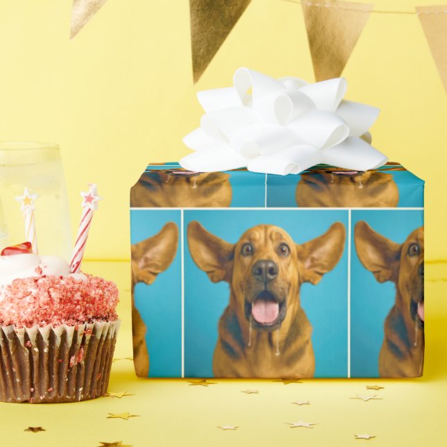 Drooling Bloodhound With Surprised Expression Geschenkpapier (Geburtstagsparty)
