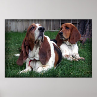 Droopee und Saggy Poster