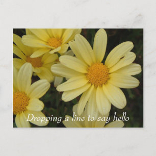 Dropdown a line to say hello postcard postkarte