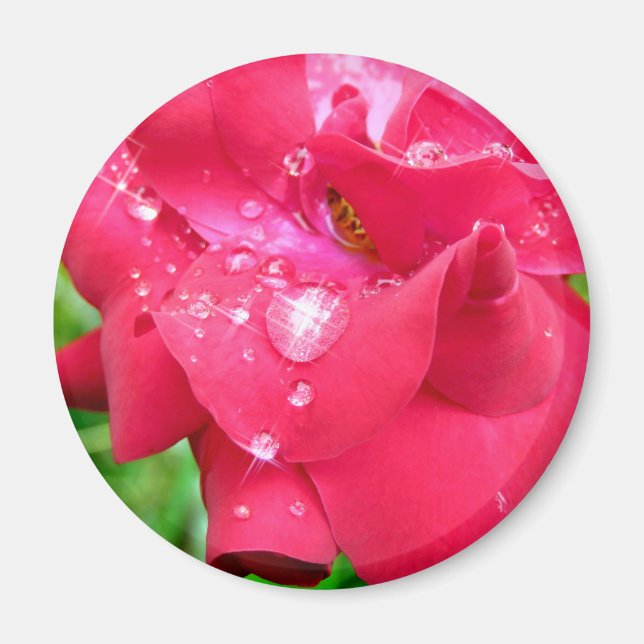 Droplets auf Petals-Kühlschrankmagnet Magnet (Vorne)