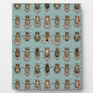 Drosophila-Mutanten Fotoplatte