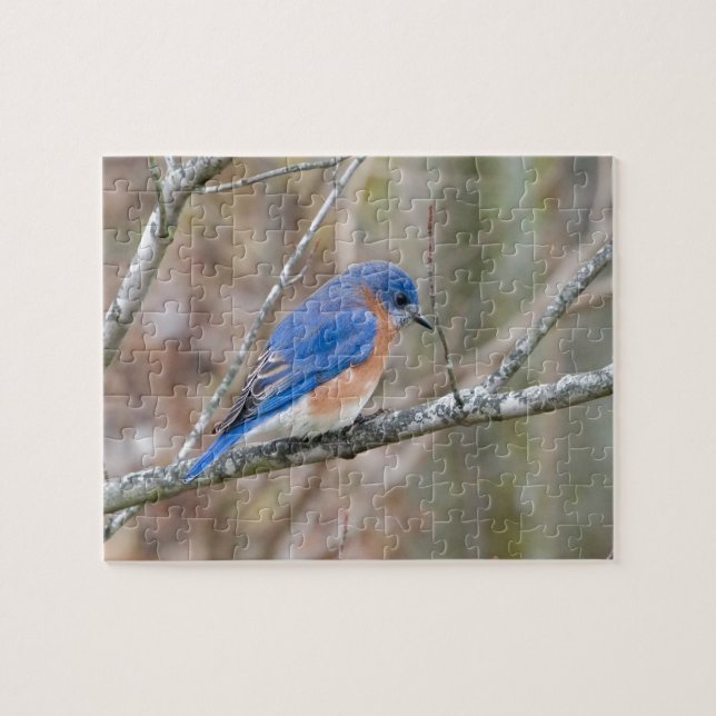 Drossel-blauer Vogel im Baum Puzzle (Horizontal)
