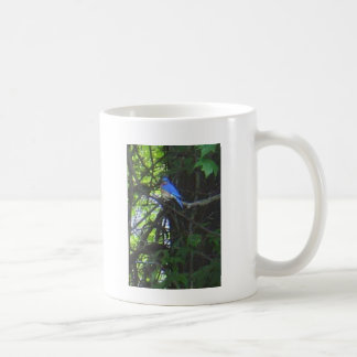 Drossel-Foto-Tasse 2 Tasse