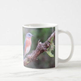 Drossel-Kaffee-Tasse Tasse