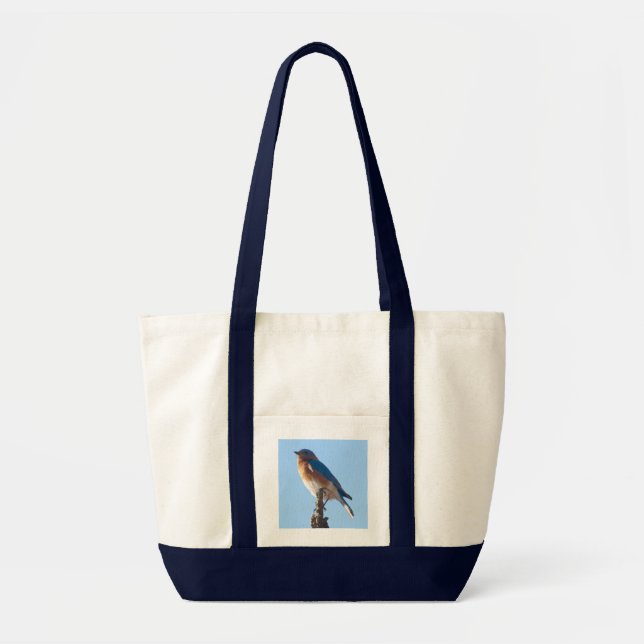 Drossel-Taschen-Tasche Tragetasche (Vorne)