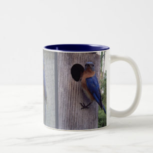 Drosseln auf Kasten-Tasse Zweifarbige Tasse
