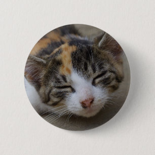 Drowsing Calico Kitten Button