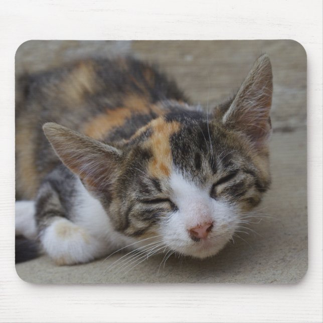 Drowsing Calico Kitten Mousepad (Vorne)