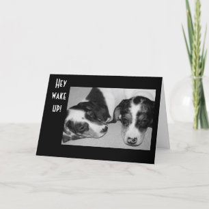 DROWSY DACKELN 40. GEBURTSTAG KARTE