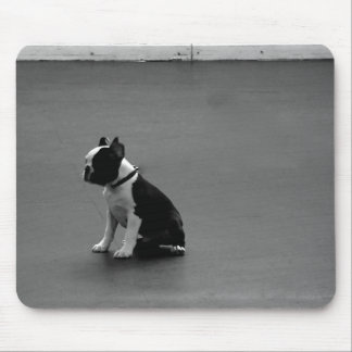 DRU Welpen-Boston-Terrier Mousepad