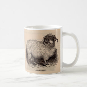 Druck aus dem 19. Jahrhundert Highland-Schafe Tasse