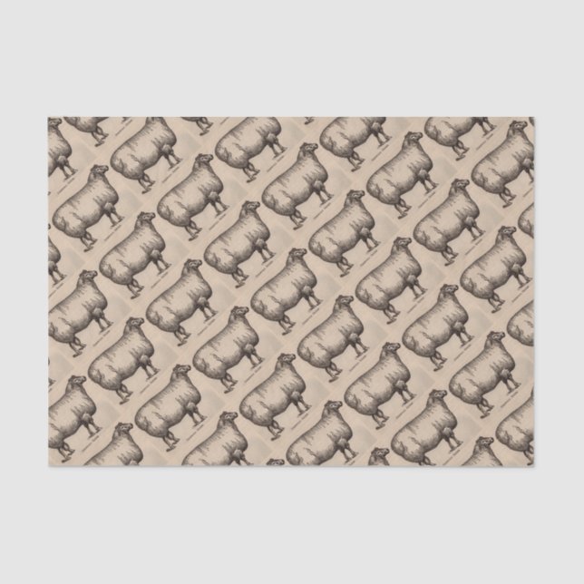 Druck Cotswold Schafe aus dem 19. Jahrhundert Seidenpapier (Vorderseite)