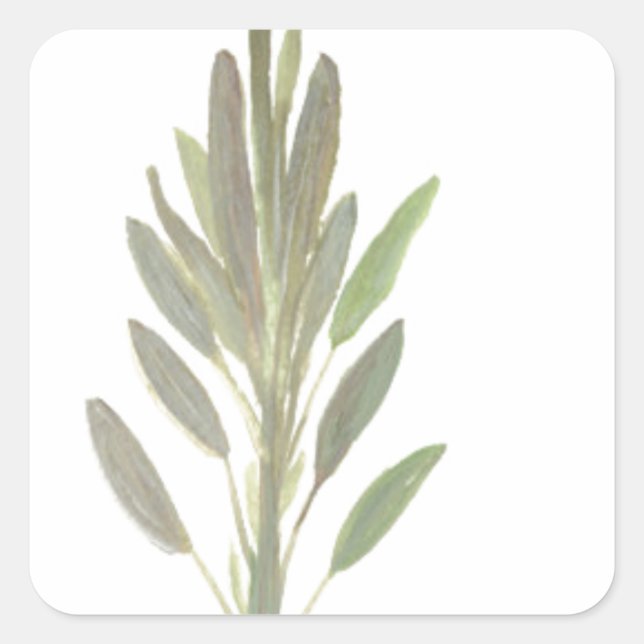 Druck der botanischen Pflanze der Käferhütte Quadratischer Aufkleber (Vorderseite)